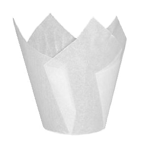 Тюльпан белый 50/80 50 шт