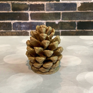 Фигурка из шоколадной глазури "Шишка"5см